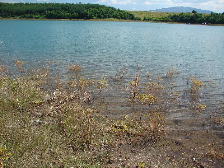 DSC03144.JPG - The Lake Dyakovo.